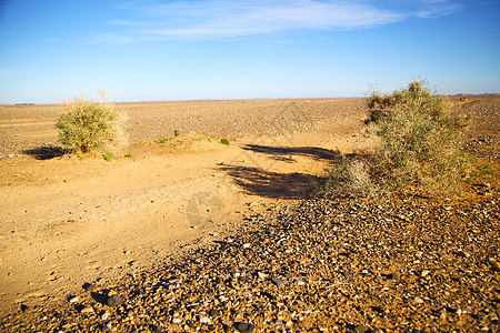 非洲撒哈拉沙漠的灌木丛中木头岩石天堂树干情调衬套荒野绿洲热带旱谷图片
