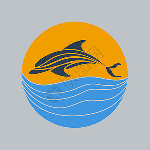 海豚矢量海洋艺术哺乳动物标识海浪插图蓝色生活游泳白色背景图片