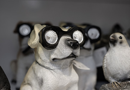 戴眼镜的狗雕像背景图片