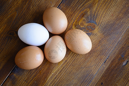 鸡蛋早餐工作室孵化婴儿公鸡母鸡家禽纸盒食物杂货图片