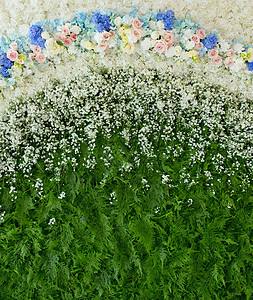鲜花摘要背景 近光花花的婚礼背景绿色静物植物花瓣红色墙纸翠菊浆果宏观植物群背景图片