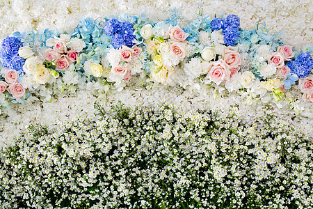 鲜花摘要背景 近光花花的婚礼背景绿色红色浆果花束静物植物群墙纸花瓣照片植物图片