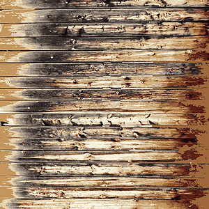 木质背景 现实主义木板 矢量图解材料木材宏观装饰粮食控制板风格松树木工橡木背景图片