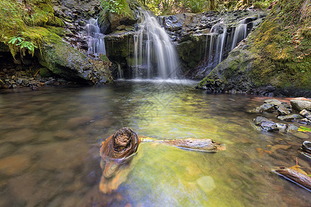 戈尔顿河沿岸的翡翠瀑布 与干木图片