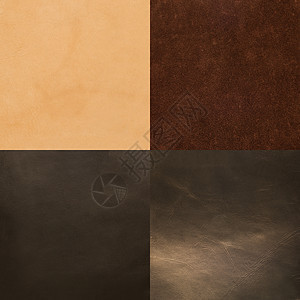 一套棕色皮革样品质量纺织品奶牛牛皮材料皮肤革质工作室动物宏观图片