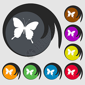 蝴蝶图标符号 八个彩色按钮上的符号 矢量装饰曲线叶子团体君主动物热带夹子风格翅膀图片