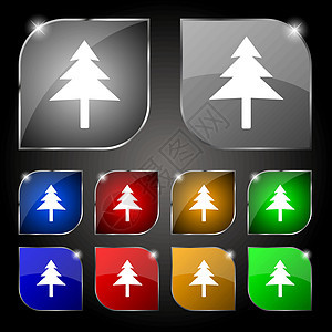 圣诞树图标符号 套装有光束的十色按钮 矢量植物学礼物松树生态涂鸦叶子新年环境问候语绘画图片