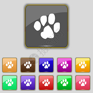 跟踪狗图标符号 设置为网站的11个彩色按钮 矢量图片