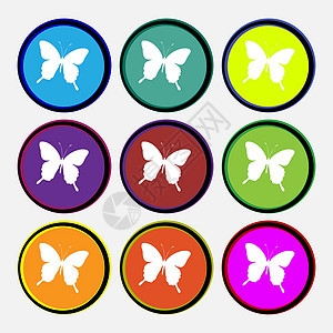 蝴蝶图标符号 9个多色圆环按钮 矢量电脑季节团体翅膀艺术夹子热带插图野生动物飞行图片