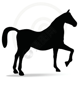 露马姿色的轮光阴影插图主力姿势骏马骑士白色草图冒充货车图片