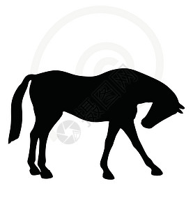 站在姿势周围的马脚背影货车阴影主力骑士冒充骏马插图草图白色背景图片