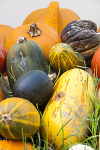 从秋天开始 南瓜南瓜 和不同的高原季节蔬菜南瓜展示收成黄瓜农民烹饪壁球营养图片