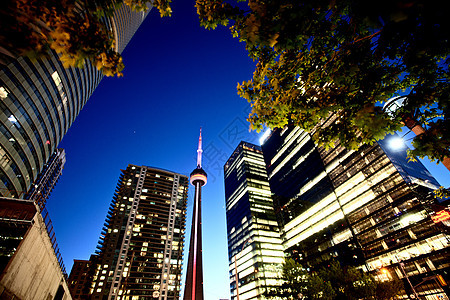 多伦多市摩天大楼旅行建筑学市中心天空景观天际风景建筑物城市图片