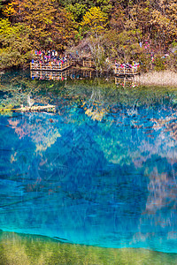 五花湖位于朱海古湖水池叶子风景旅游公园绿色旅行遗产吸引力森林图片