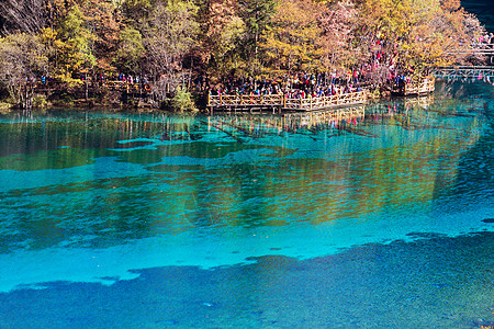 五花湖位于朱海古湖绿色水池风景森林旅游叶子游客公园遗产吸引力图片