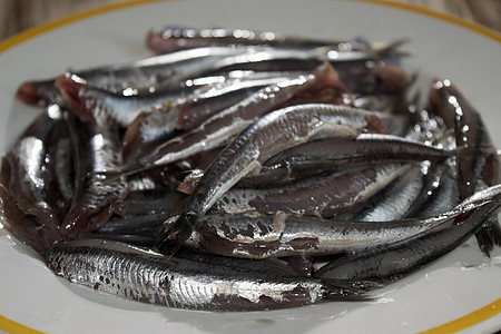 新的市场食肉动物绿色食物海鲜渔业白色鳀鱼钓鱼营养图片