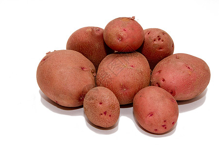 马铃薯块茎植物农业饮食营养土豆淀粉烹饪棕色糖类图片