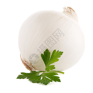 洋葱和面食烹饪块茎香菜收成食品白色植物蔬菜水果图片