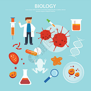 生物学背景教育概念平面设计图片