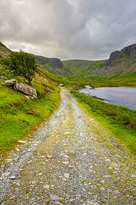 Dingle半岛的国别一角土地爬坡草地农村山脉风景农场场景国家场地图片