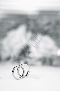 新娘和新郎结婚戒指结婚戒指白色婚姻桌布婚礼图片