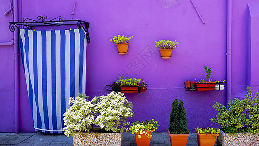 布拉诺紫墙彩色房子图片