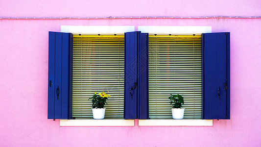 粉红色彩色墙上两个蓝色窗口图片