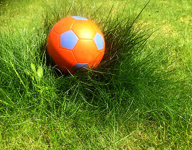 草二中的橙色球背景图片