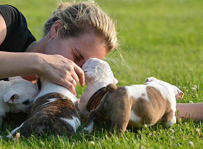 妇女和小狗的粪便英语女士犬类斗牛犬动物垃圾斗争跑步摔角女性图片