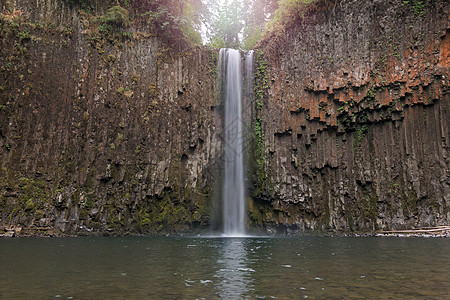 俄勒冈州阿比夸瀑布森林树木水池苔藓地衣植物远足蕨类悬崖阳光图片