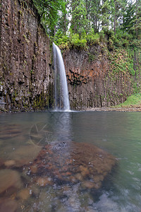 俄勒冈州阿比夸瀑布苔藓森林树木溪流小径远足绿色旅行地衣水池图片