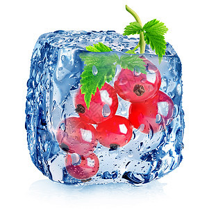 冰雪中卷曲的红浆果图片