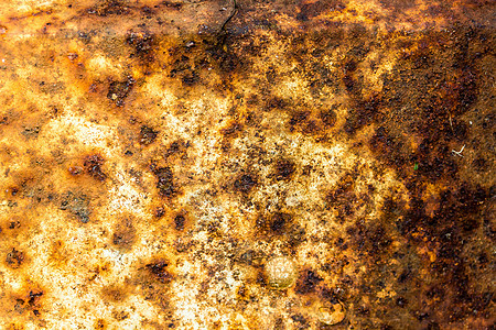 锈金属背景氧化钣金红色橙子图片