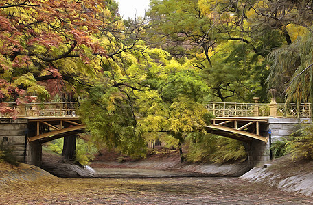 桥红色植物群河道黄色乡村叶子树叶环境木头场景图片
