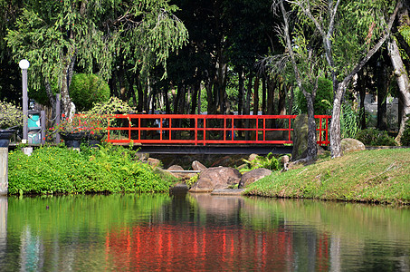 中华花园红桥生长植物绿色花园旅行民众人行道公园灌木丛建筑学背景图片