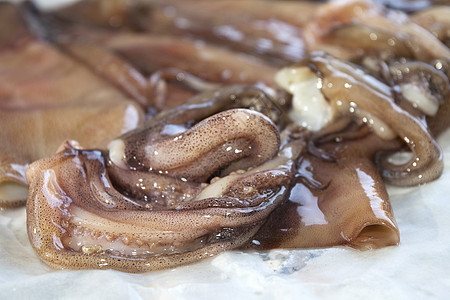 地中海海的托塔尼运输触手章鱼沙拉食物饮食乌贼鱿鱼海鲜图片