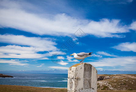 Quiberon半岛西侧的岩石海岸线海岸海浪悬崖支撑海滩海洋图片