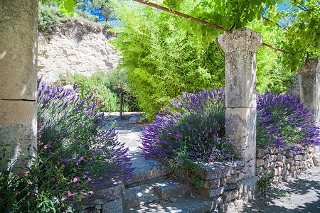 普罗旺斯 法国乡村风景教会场地旅行建筑学紫色植物薰衣草建筑图片