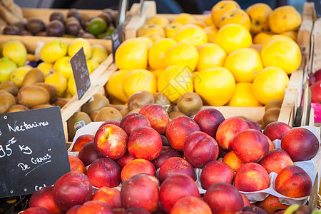 水果市场普罗旺斯白色花园红色食物收成绿色甜瓜农业农民图片