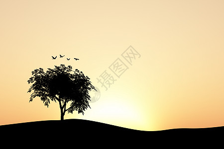 树飞行地平线晴天土地橙子生态区系叶子插图阳光图片