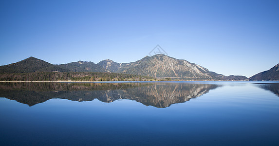 巴伐利亚湖反射蓝色天空场景地平线绿色图片