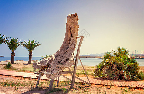 海边一棵树的树干上装饰着装饰性装饰品海滩小路行人假期旅行天空太阳长廊植物金属图片