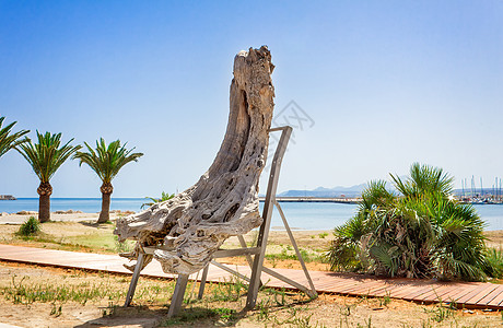 海边一棵树的树干上装饰着装饰性装饰品金属太阳旅行植物长廊天空行人海滩小路假期图片