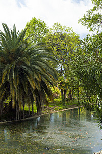 城市池塘公园旅行水池反射蓝色地标天空旅游花园生态图片