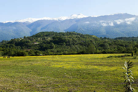 山山脉爬坡季节旅游旅行天空石头公园岩石森林风景图片