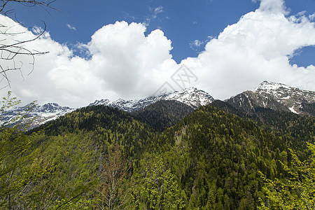 山山脉风景蓝色石头森林场景旅行公园岩石高地顶峰图片