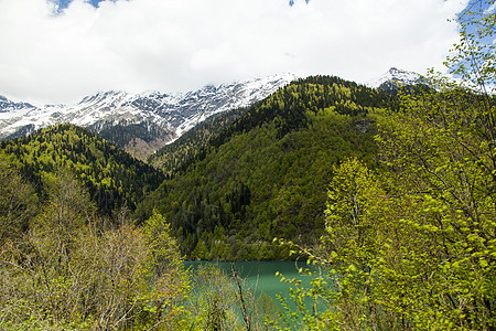 山山脉爬坡风景国家公园蓝色季节晴天森林环境高地图片