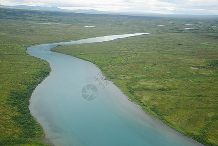 alaska 空中视图风景公园半岛荒野旅行森林飞机绿色图片