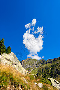 阿达梅洛布伦塔国家公园  意大利松树踪迹岩石旅行冒险小路树木蓝色草地高山图片