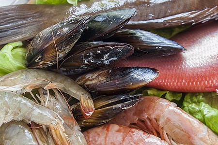 新鲜贝贝和虾高清图片